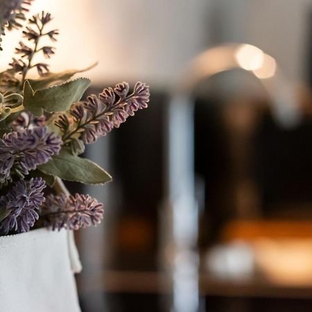 Smeraldo Suite - Smart Holiday Mantova Eksteriør bilde